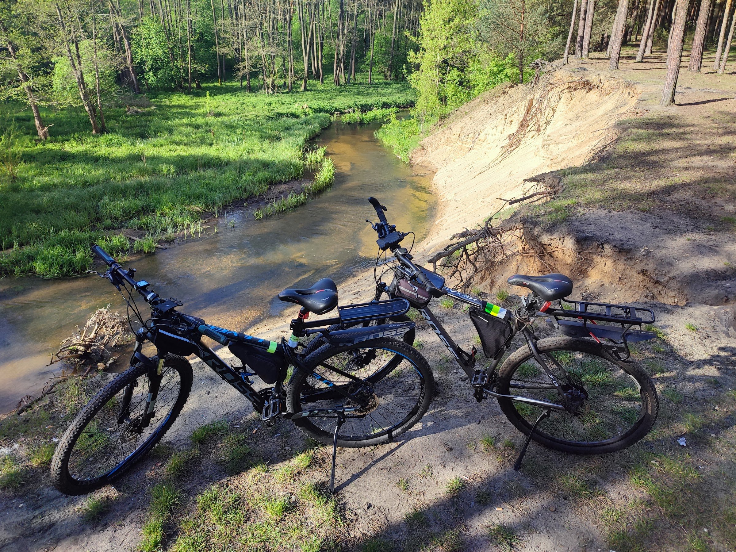 Meanders on Kocinka (Nowa Brzeźnica)